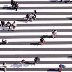 Group of people walking on cross walk by Ryoji Iwata on Unsplash